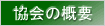 ����̊T�v